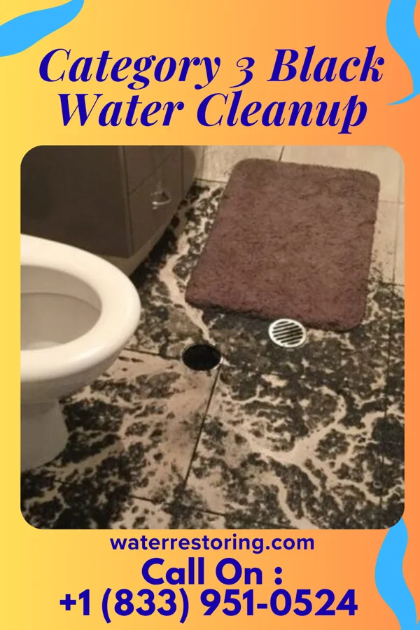 Category 3 Black Water Cleanup in Georgetown, IN