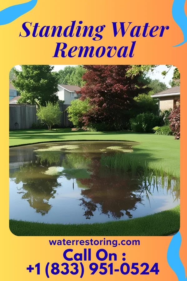 Standing Water Removal in Georgetown, IN